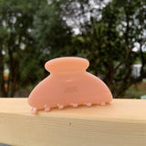 FLORAL ACETATE YUANBAO HAIR CLAW CUTE DAILY CLIP_CWAHA2160