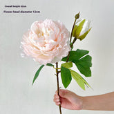 LONG STEM DOUBLE PEONY ARTIFICIAL FLOWER DECOR_CWMM6462