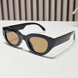PAINTED CAT EYE SUNGLASSES_CWASG0420