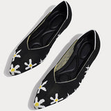 COMFORTABLE POINTED FLAT SHOES FOR WOMEN_CWSHF0006