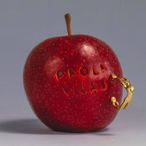 FASHIONABLE SIMPLE HIGH GRADE IRREGULAR EARRINGS_CWAJE5057