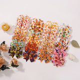 THANKSGIVING TURKEY PUMPKIN TAIL HAIR CLIP_CWAHA6681