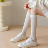 LIGHTWEIGHT CONTRAST STRIPED SOCKS_CWMS0652