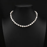 NICHE ALL MATCH NATURAL FRESHWATER PEARL NECKLACE_CWAJE3847