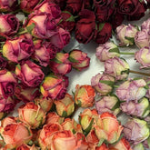 ROSE ARTIFICIAL DRIED SILK FLOWER BESTSELLER_CWMM6474