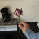 BURNT EDGE ANGORA ROSE FOR HOME PHOTO DECOR_CWMM6571