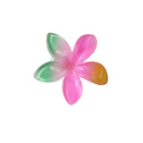 EGG FLOWER DUCKBILL HAIR CLIP VACATION ACCESSORY_CWMM5001