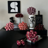 BURNT EDGE ANGORA ROSE FOR HOME PHOTO DECOR_CWMM6571