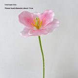 3D PRINTED BLOOMING TULIP STEM FOR DIY FLORAL_CWMM6508