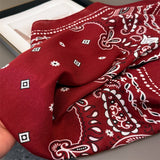 Paisley Herringbone Linen Feel Silk Scarf_Cwasc03310