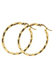 18K Gold Plated Stainless Steel Earrings_Cwaje0381