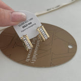 ADVANCED MICRO INLAID ZIRCON EARRINGS_CWAJE1335