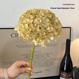 AUTUMN VINTAGE SINGLE STEM BURNT EDGE HYDRANGEA_CWMM6480