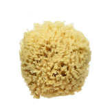 NATURAL WOOL SPONGE BATH SUPER SOFT BATH SPONGE_CWMM3420