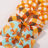 THANKSGIVING TURKEY PUMPKIN TAIL HAIR CLIP_CWAHA6681