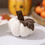 Cwmm10342_Knitted Orange Pumpkin Thanksgiving Decoration