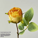 Vintage Single Head Rose Bouquet With Burnt Edges_Cwmm6509