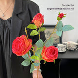 SINGLE STEM 4 HEAD COUNTRY STYLE BURNT EDGE ROSES_CWMM6473