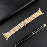 APPLE WATCH9 BEADED DIAMOND STRAP_CWWW0051