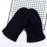 Double Layer Thick Warm Gloves_Cwag0072