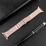 APPLE WATCH9 BEADED DIAMOND STRAP_CWWW0051