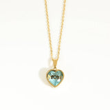 STAINLESS STEEL DECEMBER ZIRCON NECKLACE_CWMM3821