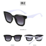 Wide Frame Dandy Sunglasses_Cwasg0103