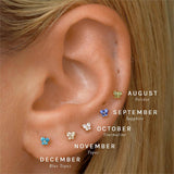 Zodiac Birthstone Butterfly Piercing Stud Earrings_Cwaje5088