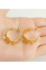 18K Gold Plated Stainless Steel Earrings_Cwaje0399