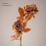 DRIED TONE BURNT EDGE ROSE BOUQUET FOR DECOR_CWMM6577