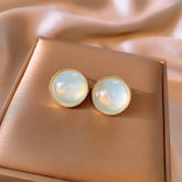 SMALL FRESH TEMPERAMENT LIGHT LUXURY EARRINGS_CWAJE2323