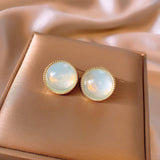 SMALL FRESH TEMPERAMENT LIGHT LUXURY EARRINGS_CWAJE2323