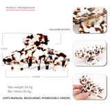 LARGE GRAB CLIP ACETATE SHARK CLIP HAIRPIN_CWAHA4327