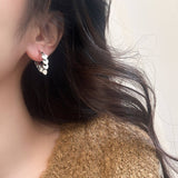 Valentines Day All-Match High-End Heart Earrings