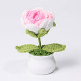 Cwmm9270_Hand-Woven Bouquet Potted Plant Ornaments
