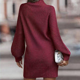 Turtleneck Sweater Women Long-Sleeved Knit Dress