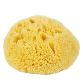 HARD HEAD EXFOLIATING NATURAL SPONGE VELVET SPONGE_CWMM3422