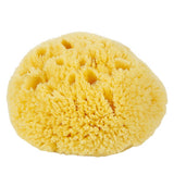 HARD HEAD EXFOLIATING NATURAL SPONGE VELVET SPONGE_CWMM3422