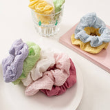 SCRUNCHIES ELASTIC HAIR BANDS_CWAHA1796