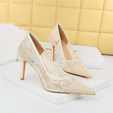 Women Mesh Hollow Lace Pointed Toe High Heels