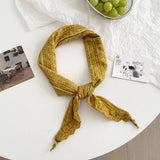 Plain Scarf Neck Tie Small Shawl_Cwasc02991