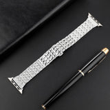 APPLE WATCH9 BEADED DIAMOND STRAP_CWWW0051