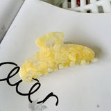 COLORFUL FLORAL ACETATE HAIR CLAW LARGE CHIC CLIP_CWAHA2155