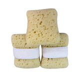 BATH SPONGE EXFOLIATING SPONGE BATH SPONGE_CWMM3404