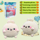 HANDMADE BUNNY DOLL CROCHET MATERIAL PACKAGE_CWMM1864