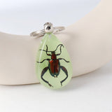 AMBER GLOW IN THE DARK INSECT KEYCHAIN PENDANT_CWMM3698