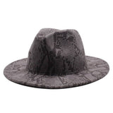 FASHIONABLE SNAKE PATTERN WOOLEN JAZZ HAT_CWAH2588