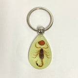 AMBER GLOW IN THE DARK INSECT KEYCHAIN PENDANT_CWMM3698