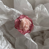 CAMELLIA HAIRPIN SMALL FRESH FLOWER HAIRPIN_CWAHA4673