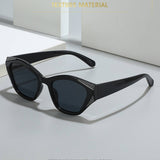 2024 NEW COLOR BLOCKED PC SUNGLASSES_CWASG0480